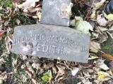 image of grave number 171515